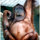 Дмитрий Советников