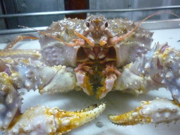 Сергей Иванович Пальманов