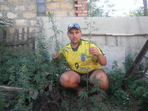 Сергей Захарченко