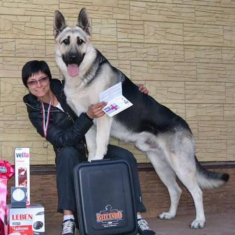 Вео Веолар Князева