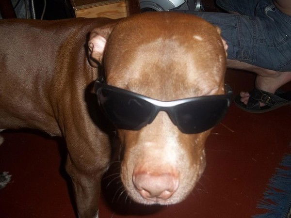 Артем Цуранов