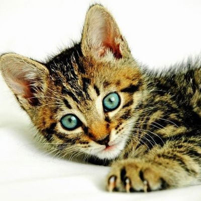 Кристина Фёдорова