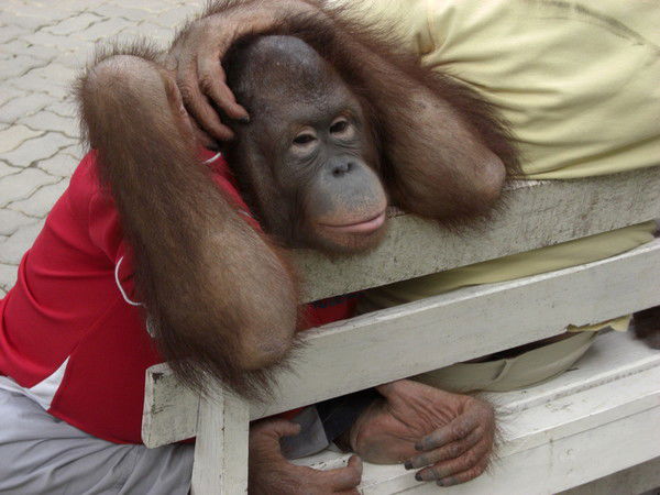 Алекс Данилов