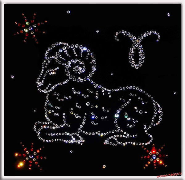 Пальшинов Давыд