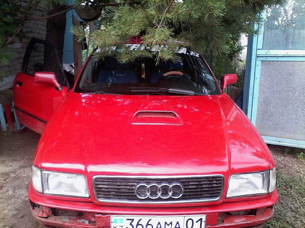 Виталий Ляпунов