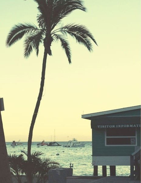 Алена Кокорева