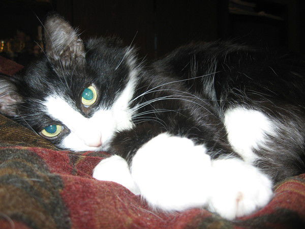 Оля Зямкина