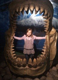 Александра Сорокина