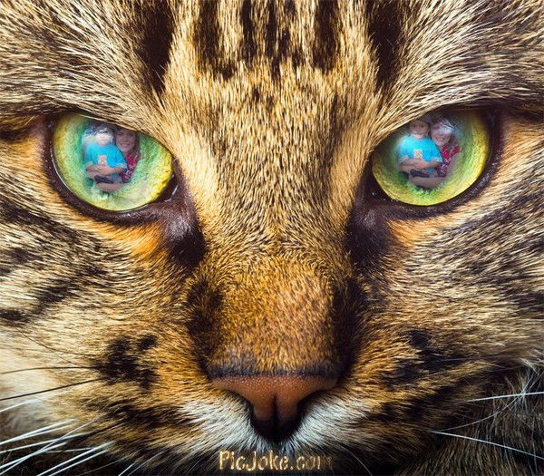 Алексей Воронецкий