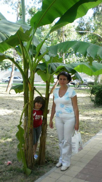 Наталья Ланг