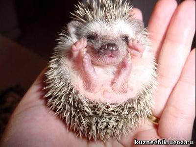 Ghennadiy Vishnevskiy