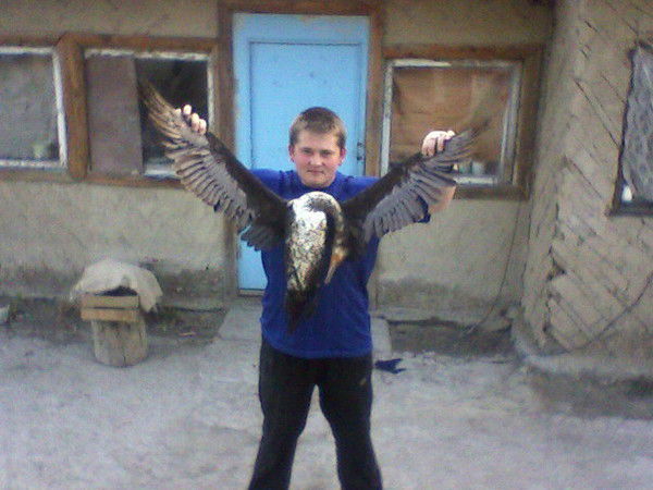 Алексей Федотов