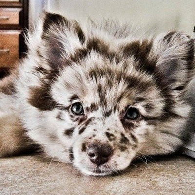 Настя Молоствова