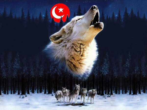 Тараз Бой Но Не Твой