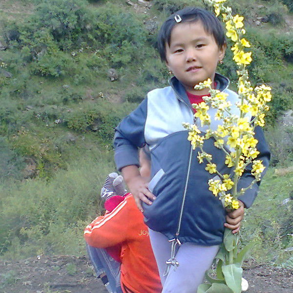 Замир Маттиев