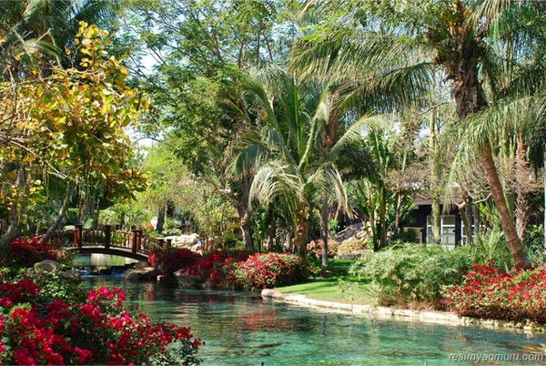 Эзиз Аллайев