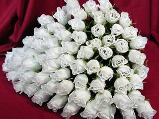 Налима Телгаровна