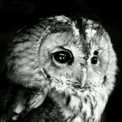 Юля Сиринчюк