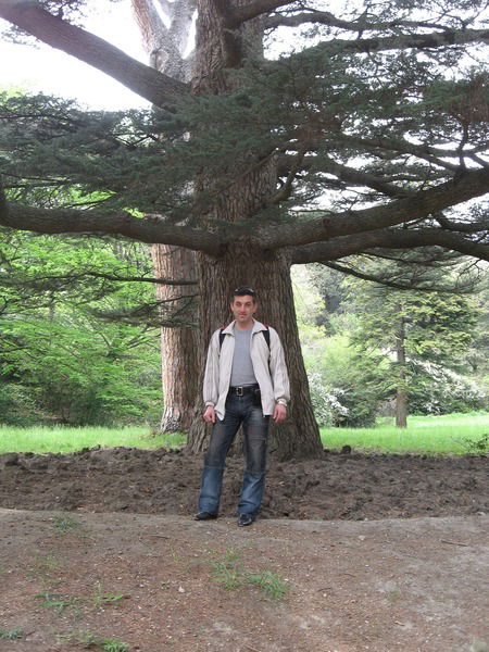 Сергей Савенко