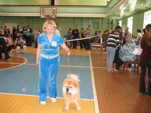 Светлана Михайлова