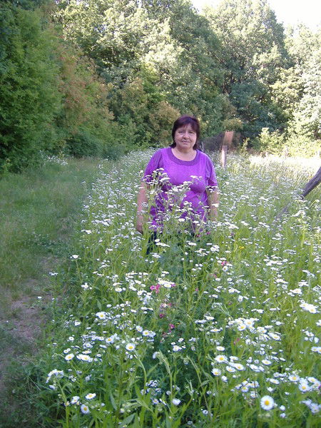 Людмила Шаталова