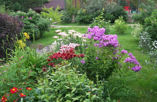 Анастасия Иванова