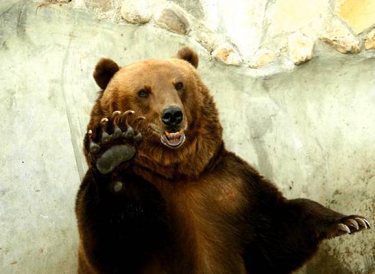 Михаил Коротких