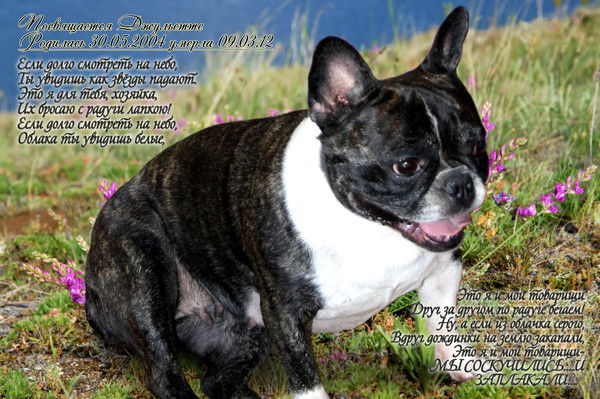 Галина Нижневская