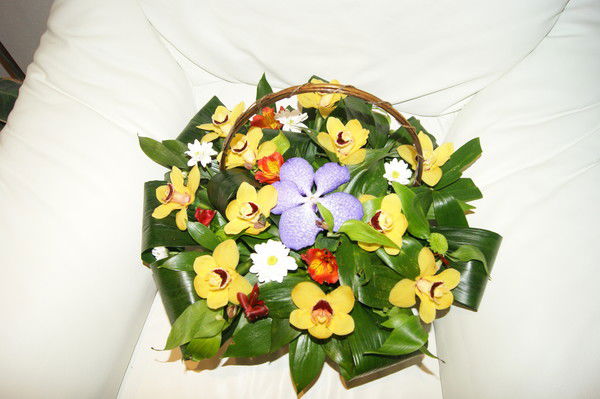 Олеся Мищенко