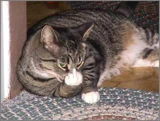 Неизвестная Неизвестная