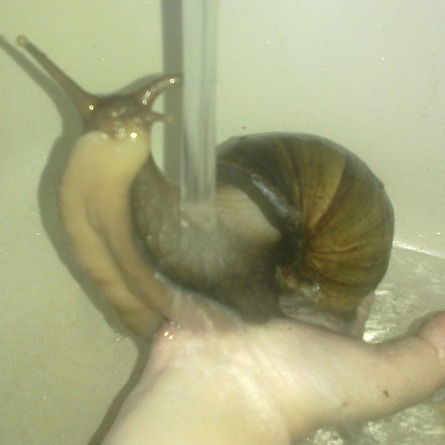 Костенков Вадя