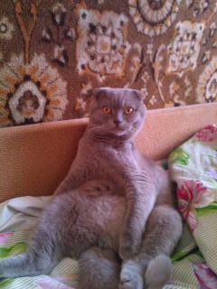 Ольга Ольга