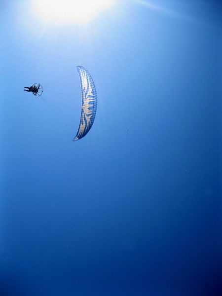 Алина Таирова