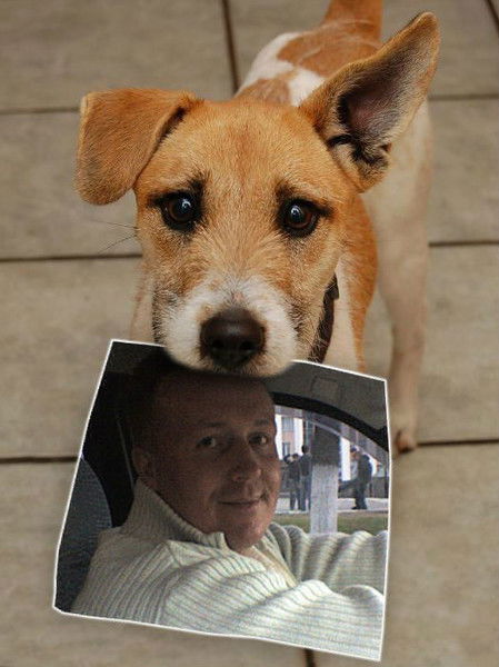 Андрей Перевощиков