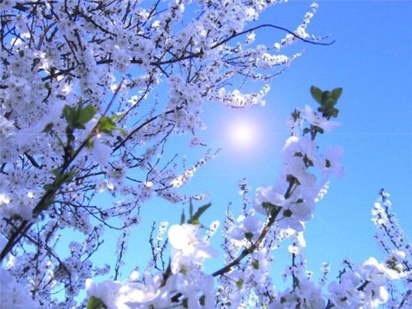 Татьяна Орел