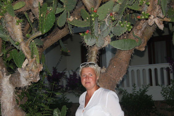 Ирина Грушкина