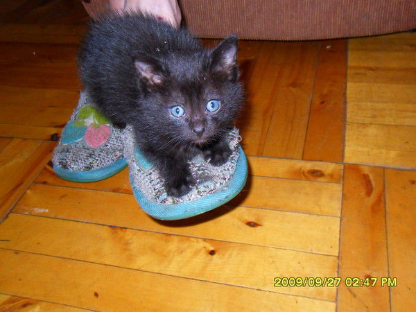 Татьяна Егорова