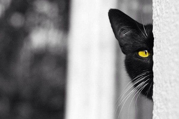 Ирина Банникова