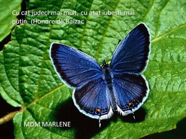 Ольга Железина