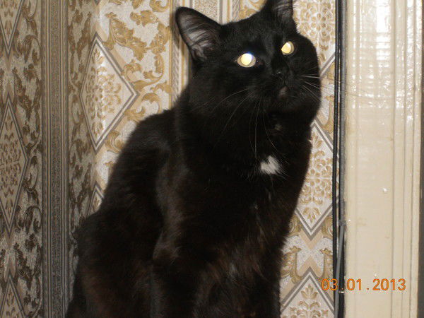 Лилия Хасанова-Садыкова