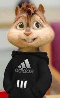 Динар Шайхазаров