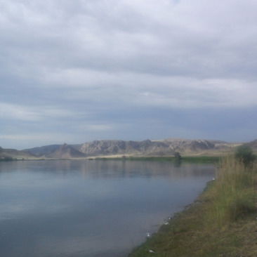 Адина Амирова