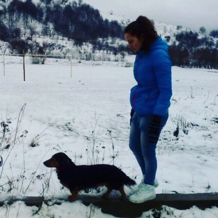 Алла Цуркан