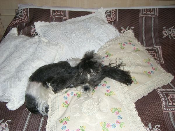 Елена Темирова