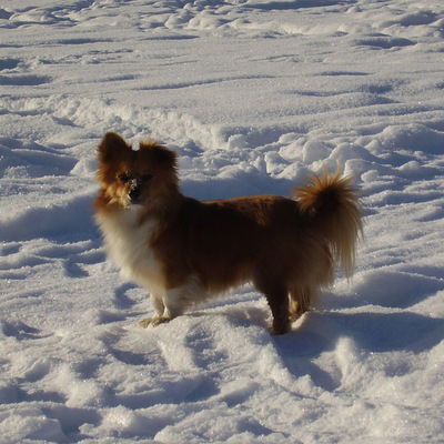 Полина Маленьких