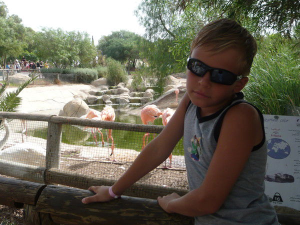 Михаил Лебедев