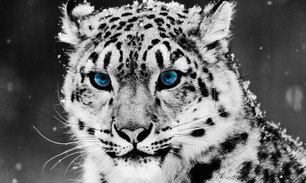 Сергей Безбородов