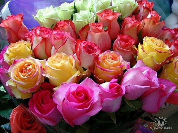 Жанар Жумашева