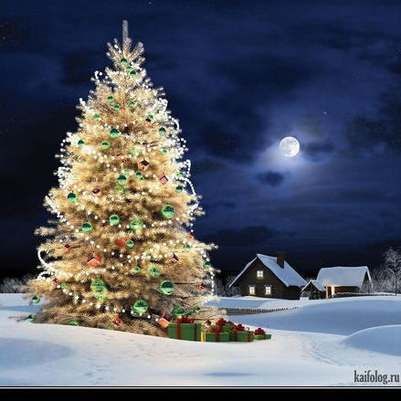 Алексей Думанский