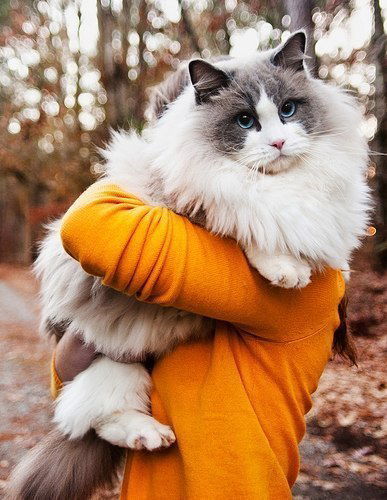 Елена Янтураева